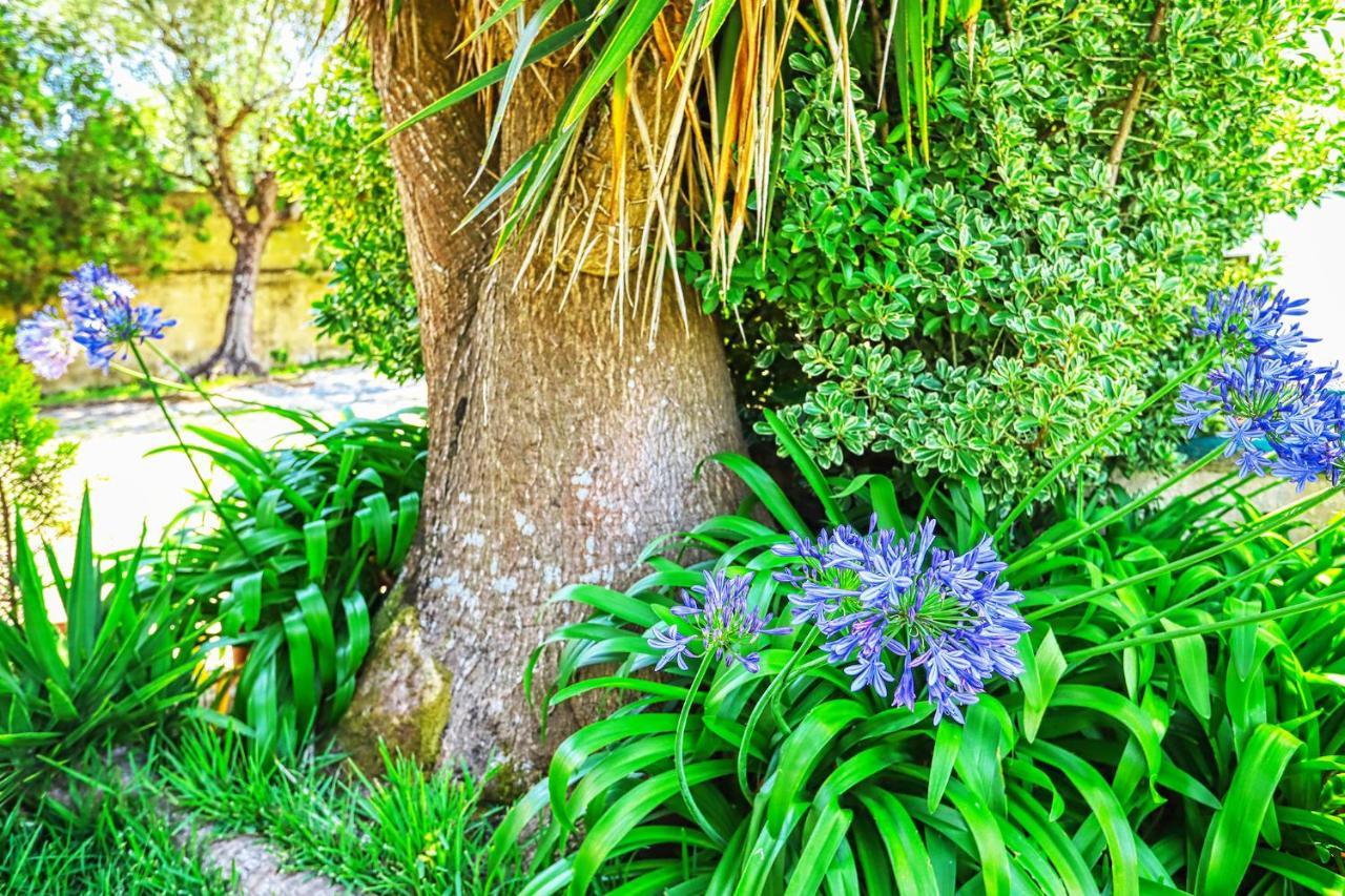 Lugar Saloio Sintra Bed & Breakfast Mem Martins Bagian luar foto
